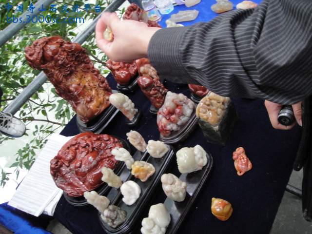 DSC01584.JPG