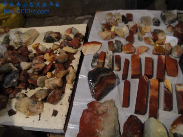 DSC01622.JPG