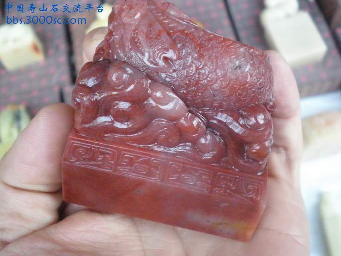 PA180034_调整大小_调整大小.JPG