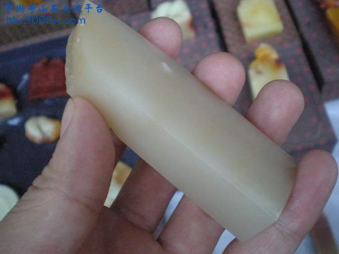 PA180038_调整大小_调整大小.JPG