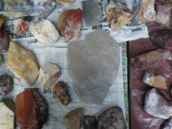 PA180039_调整大小_调整大小.JPG