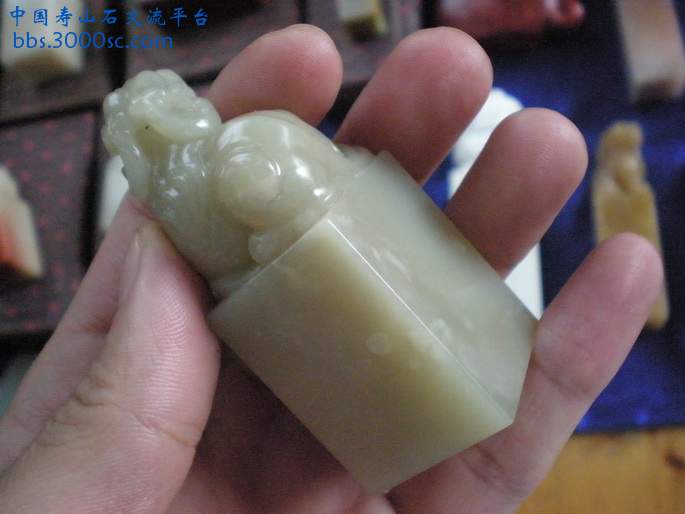 PA180043_调整大小_调整大小.JPG