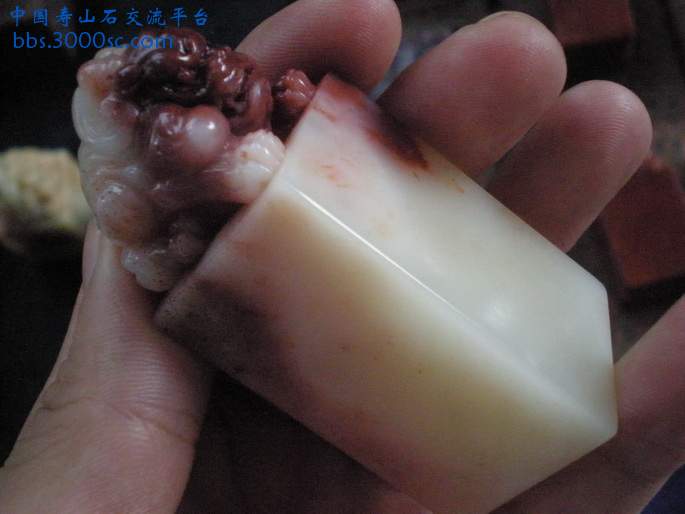 PA180045_调整大小_调整大小.JPG