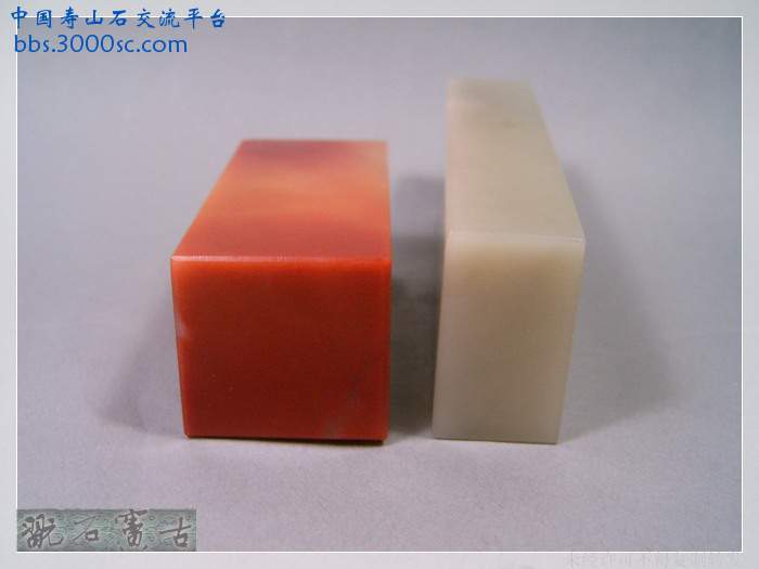 SUC38043.jpg