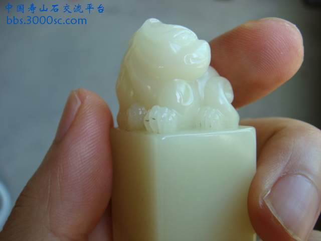 DSC02704.JPG