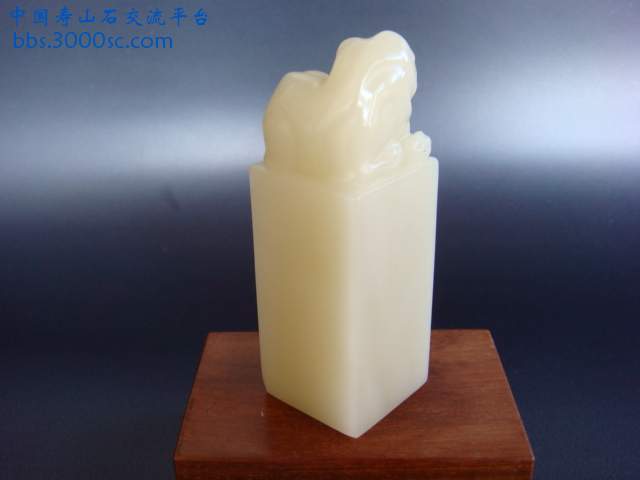 DSC02707.JPG