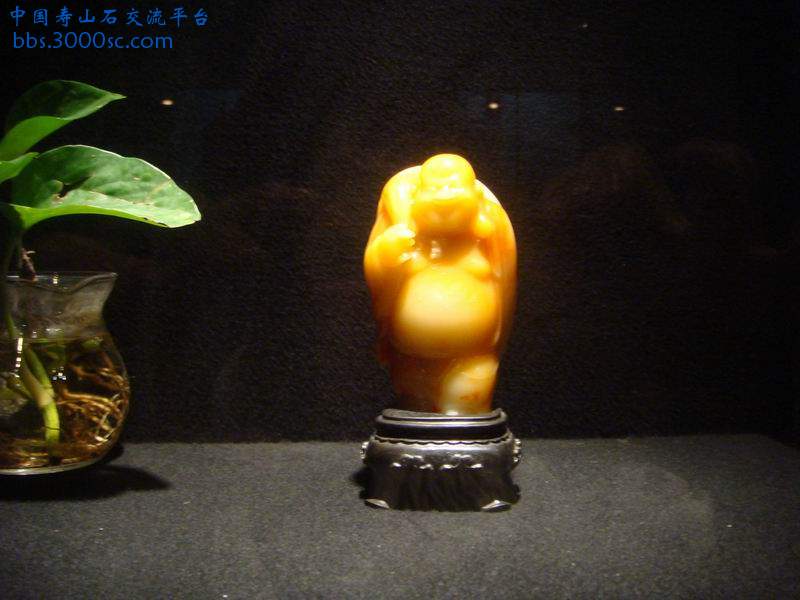 DSC03137.JPG
