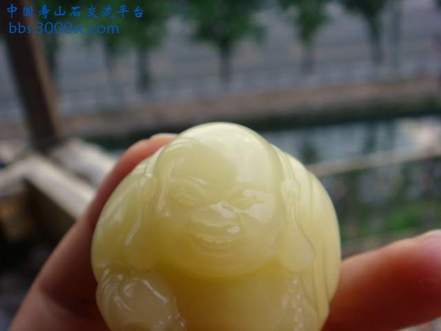 DSC03071.JPG
