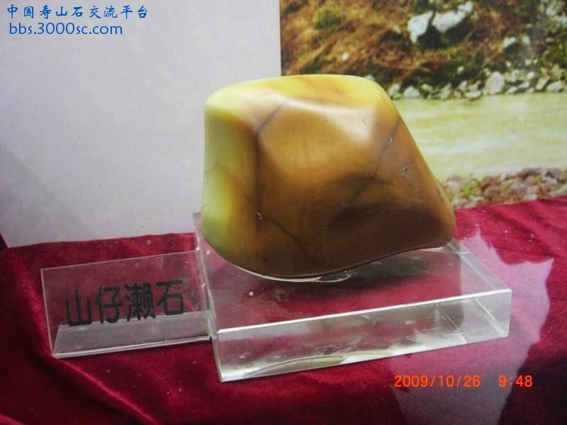 CIMG9769_光影_1.jpg