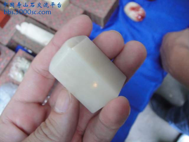 DSC01934.JPG