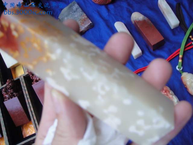 DSC01940.JPG