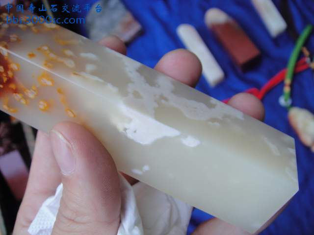 DSC01942.JPG
