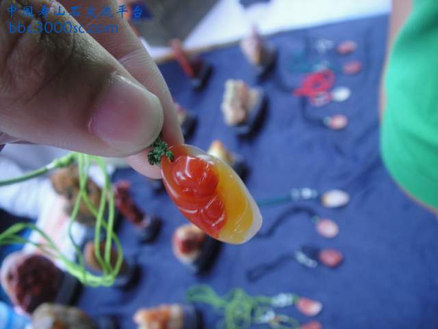 DSC01957.JPG