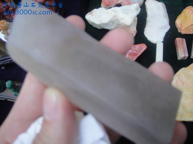 DSC01959.JPG