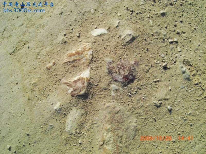 CIMG9927.jpg