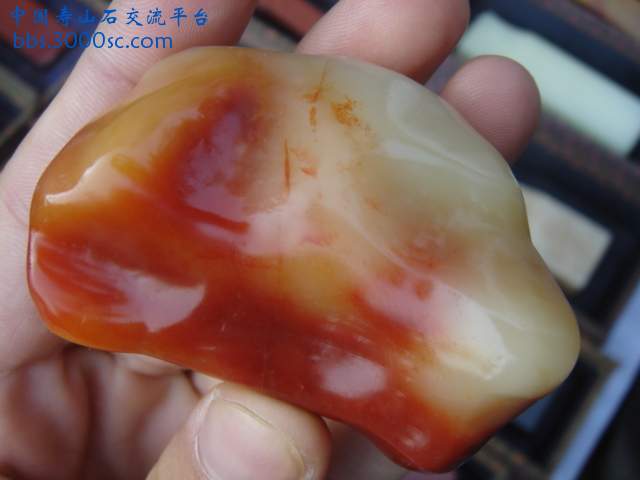 DSC02619.JPG