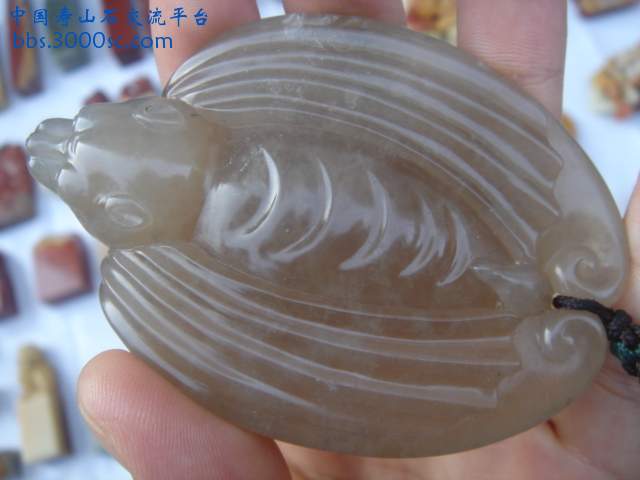 DSC02624.JPG