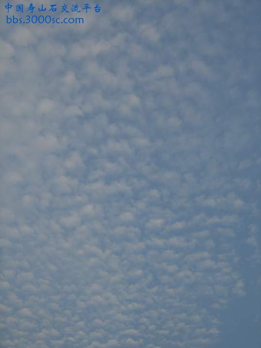 DSC02785_调整大小.JPG
