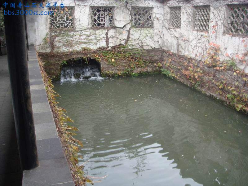 DSC03292.JPG