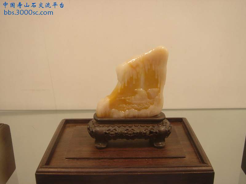 DSC03978.JPG