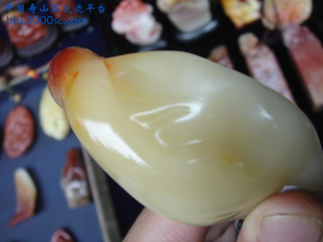 DSC03002.JPG