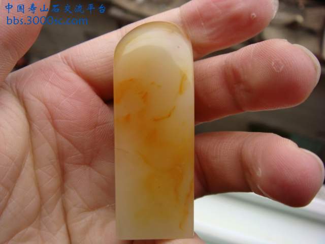 DSC03141.JPG