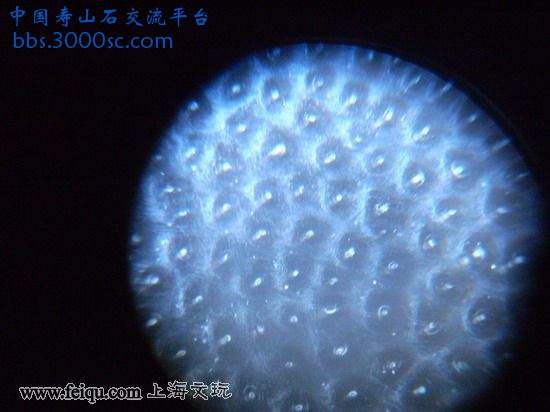 非洲1.jpg