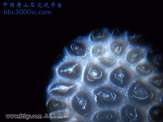 亚非8.jpg