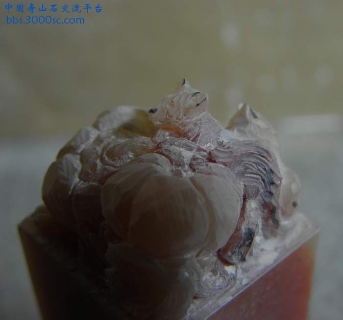 PB200908.jpg
