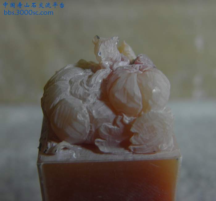 PB200911.jpg