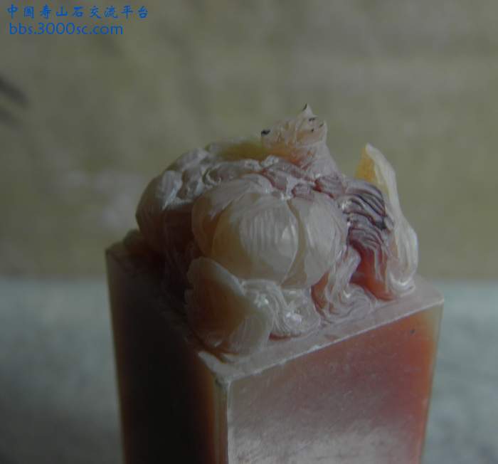 PB200915.jpg