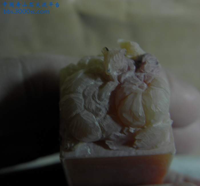 PB200918.jpg