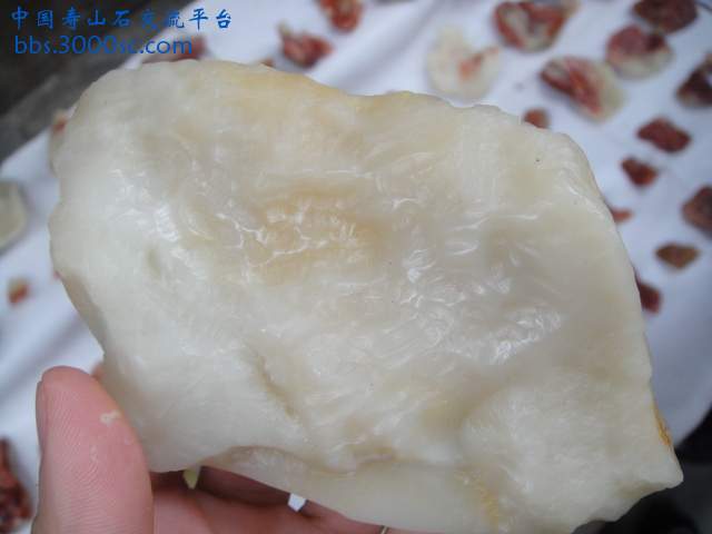 DSC02306.JPG