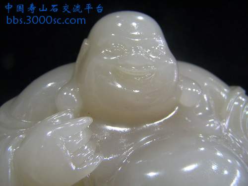 P1015615_缩小大小.JPG