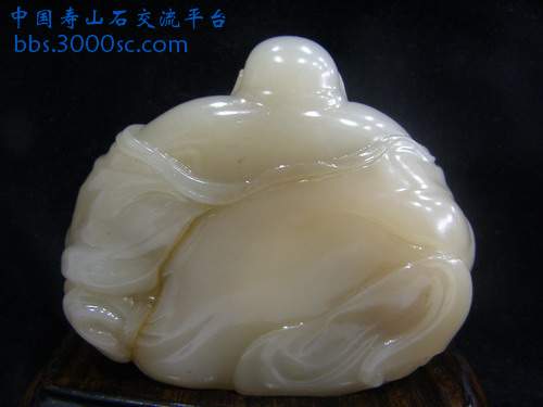 P1015611_缩小大小.JPG
