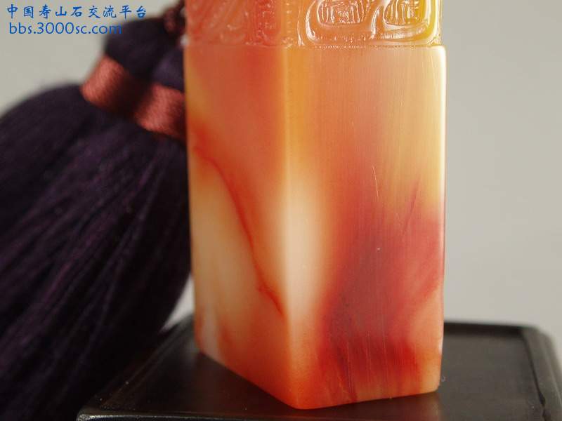 PB230006_缩小大小.JPG
