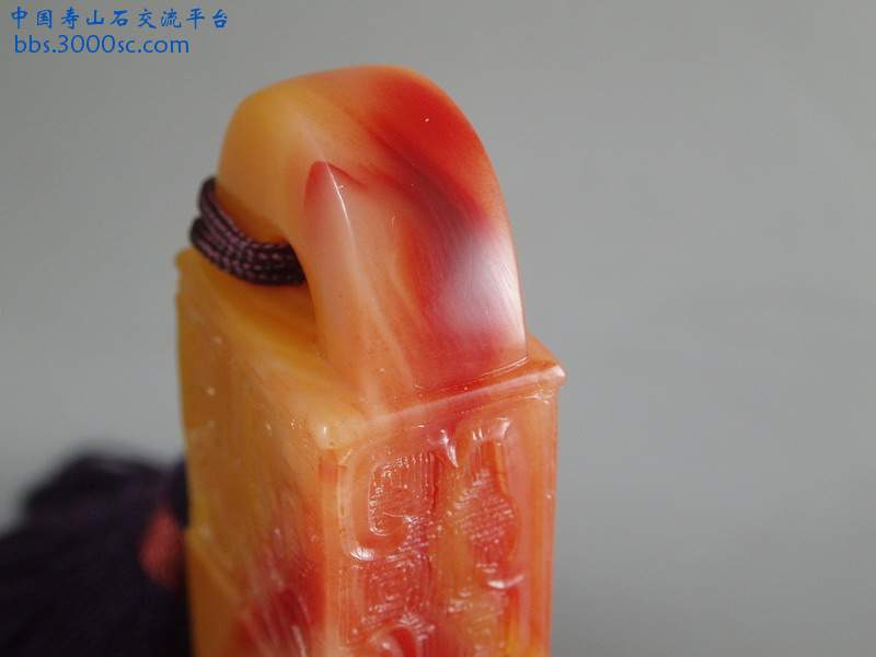 PB230008_缩小大小.JPG