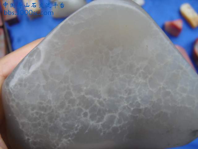 DSC03062.JPG