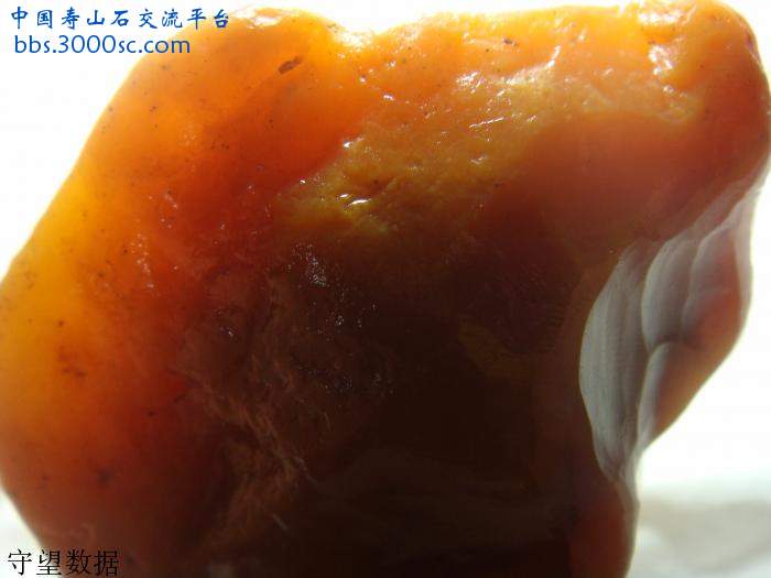 DSC01067.JPG