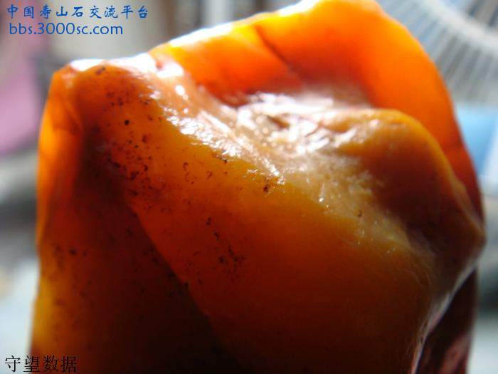 DSC01071.JPG