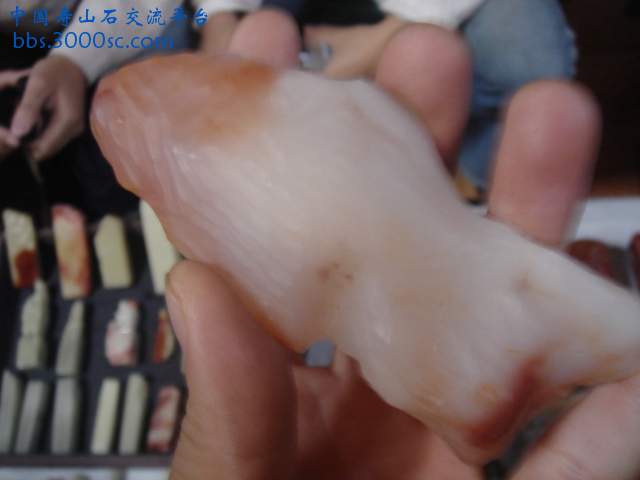 DSC03106.JPG