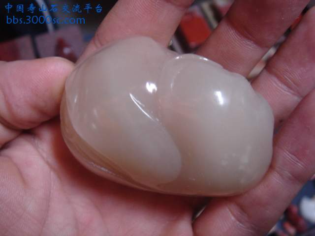 DSC03113.JPG