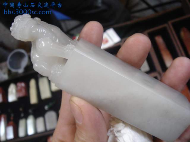 DSC03116.JPG