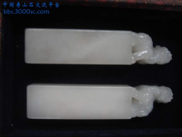 DSC03118.JPG