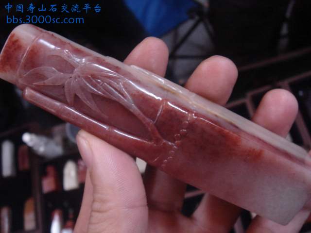 DSC03124.JPG