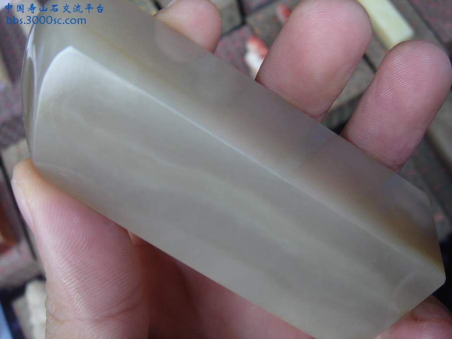 DSC03297_调整大小.JPG