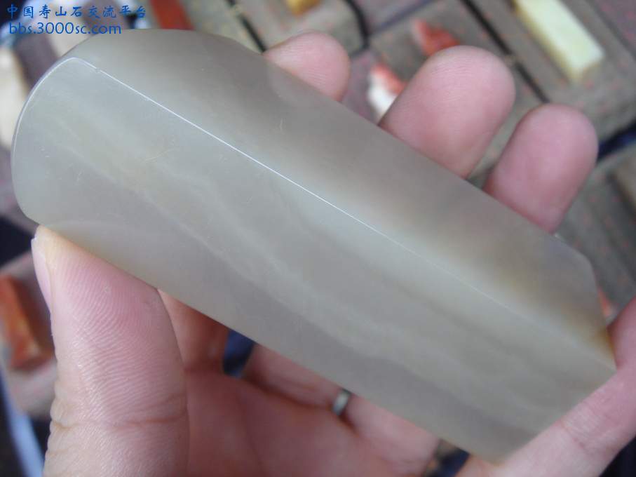 DSC03298_调整大小.JPG