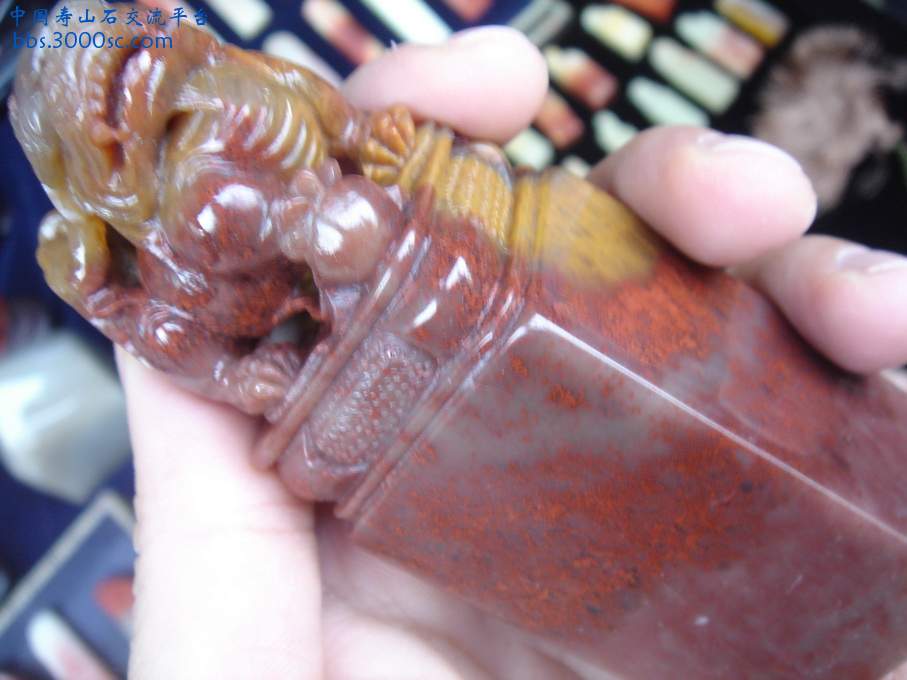 DSC03305_调整大小.JPG