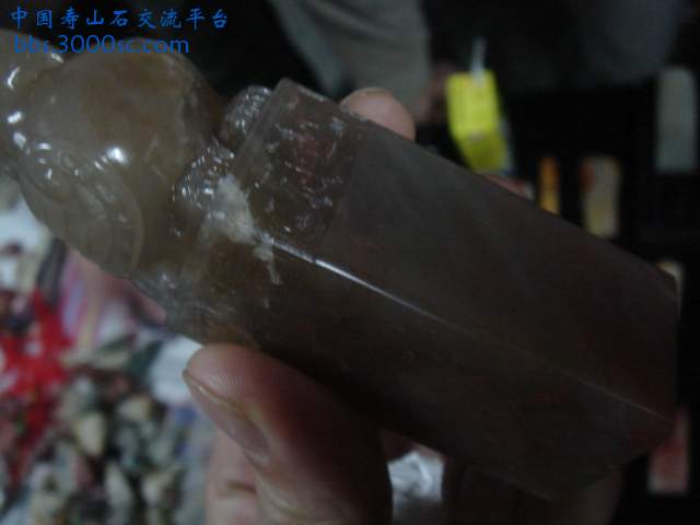 DSC03235.JPG