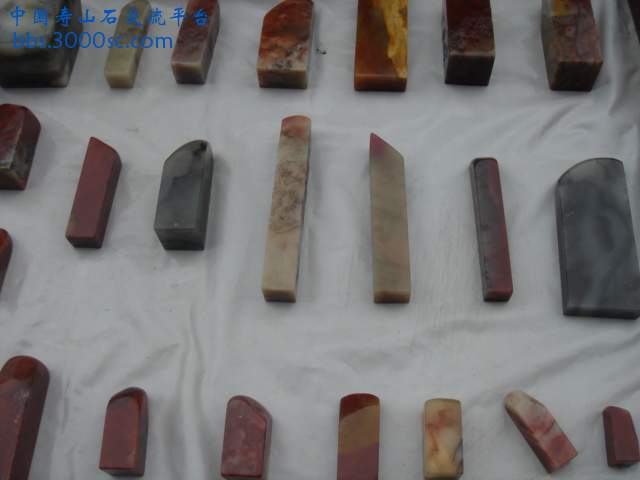 DSC03504.JPG